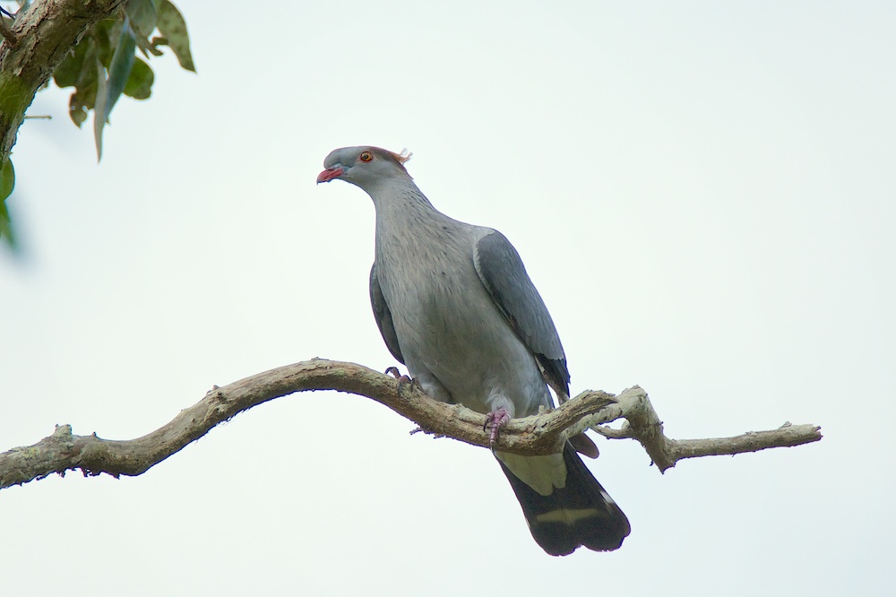 DSC_0119.jpg