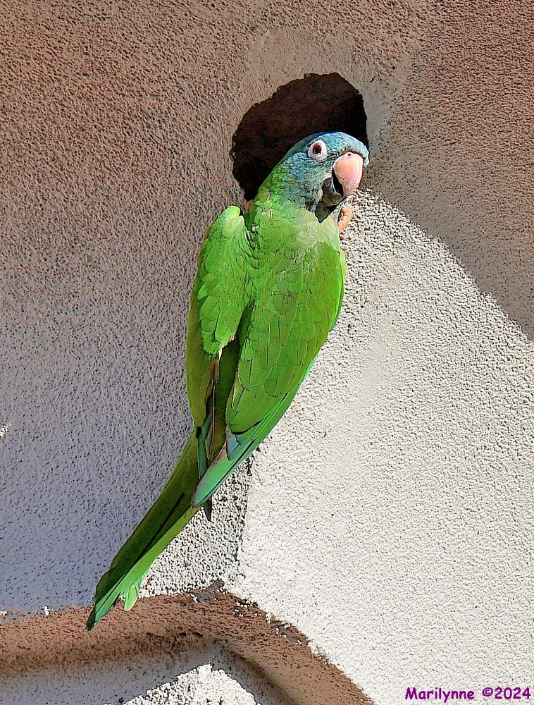 DSC_0119_001.JPG