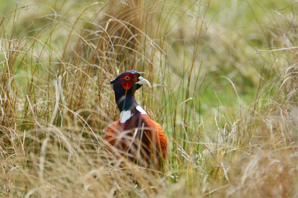 DSC_0120.jpg
