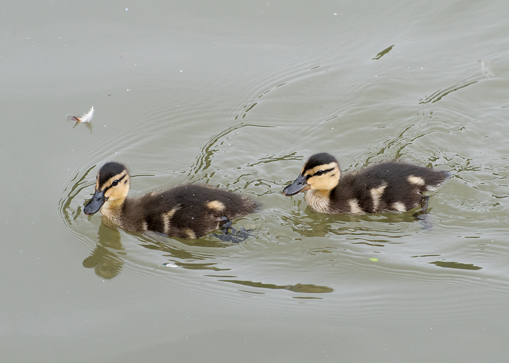 DSC_0120.jpg