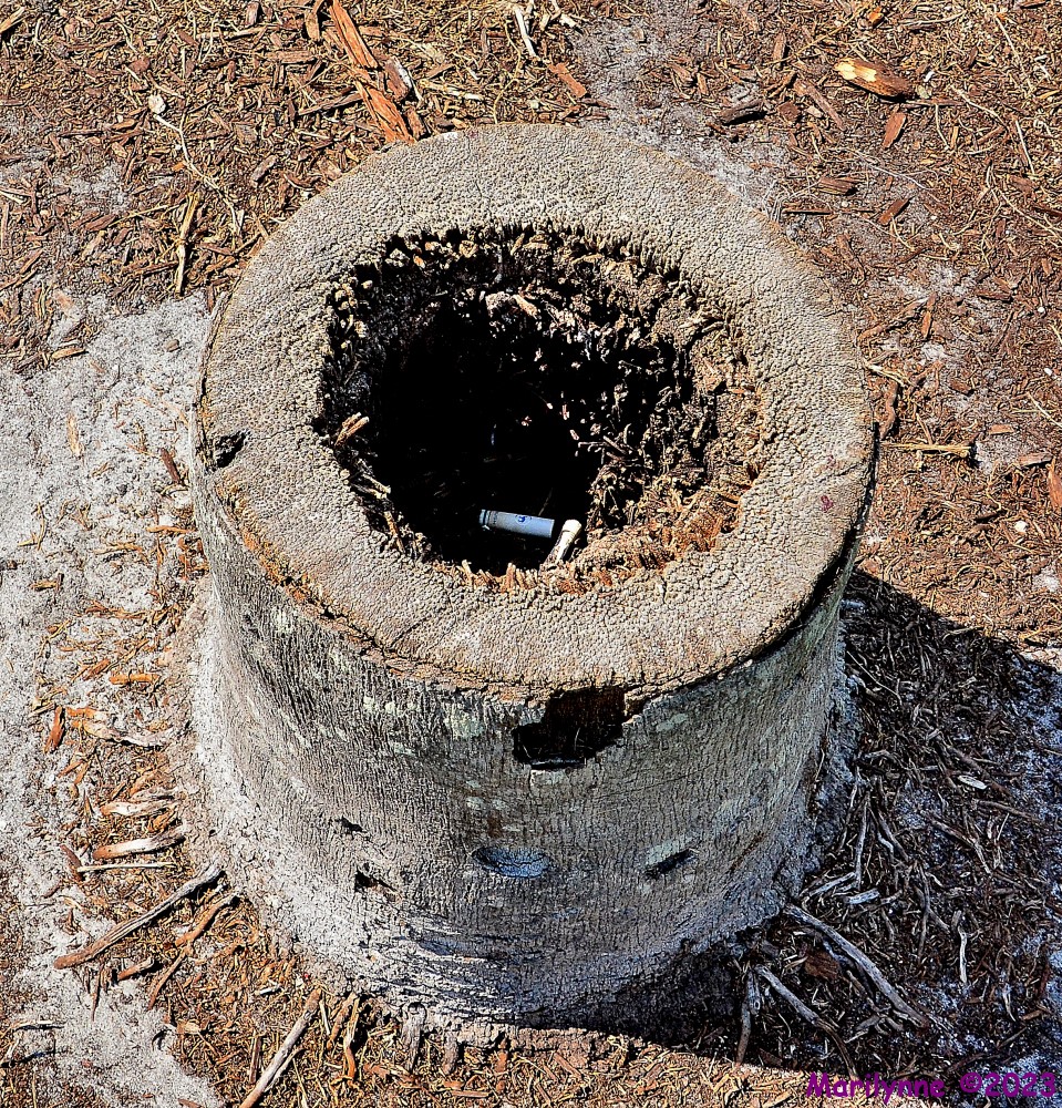 DSC_0120_001.JPG