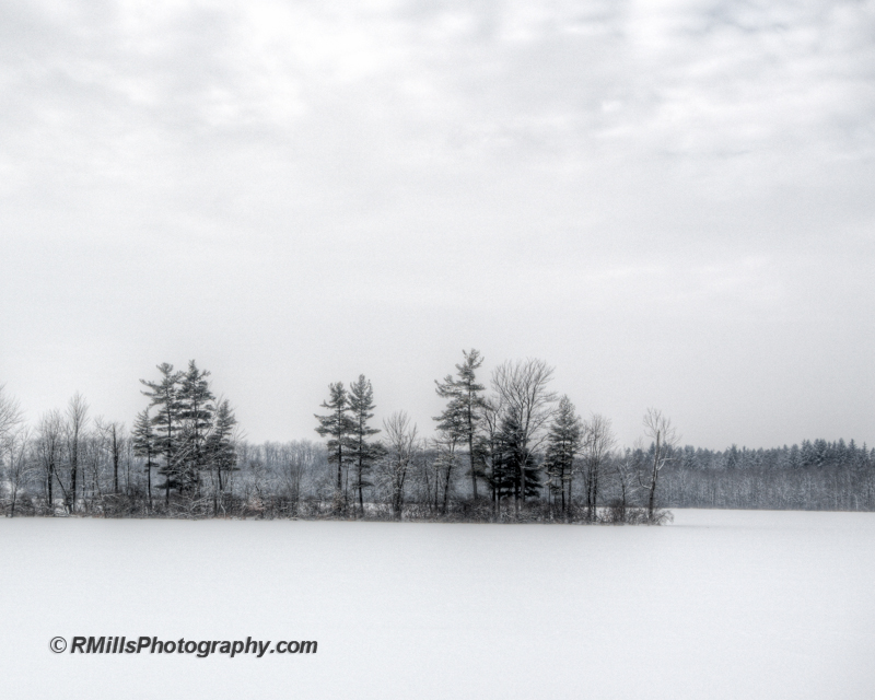 DSC_0121_9515_2_9516_3_9517_tonemapped.jpg