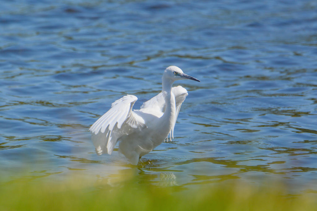 DSC_0123.jpg