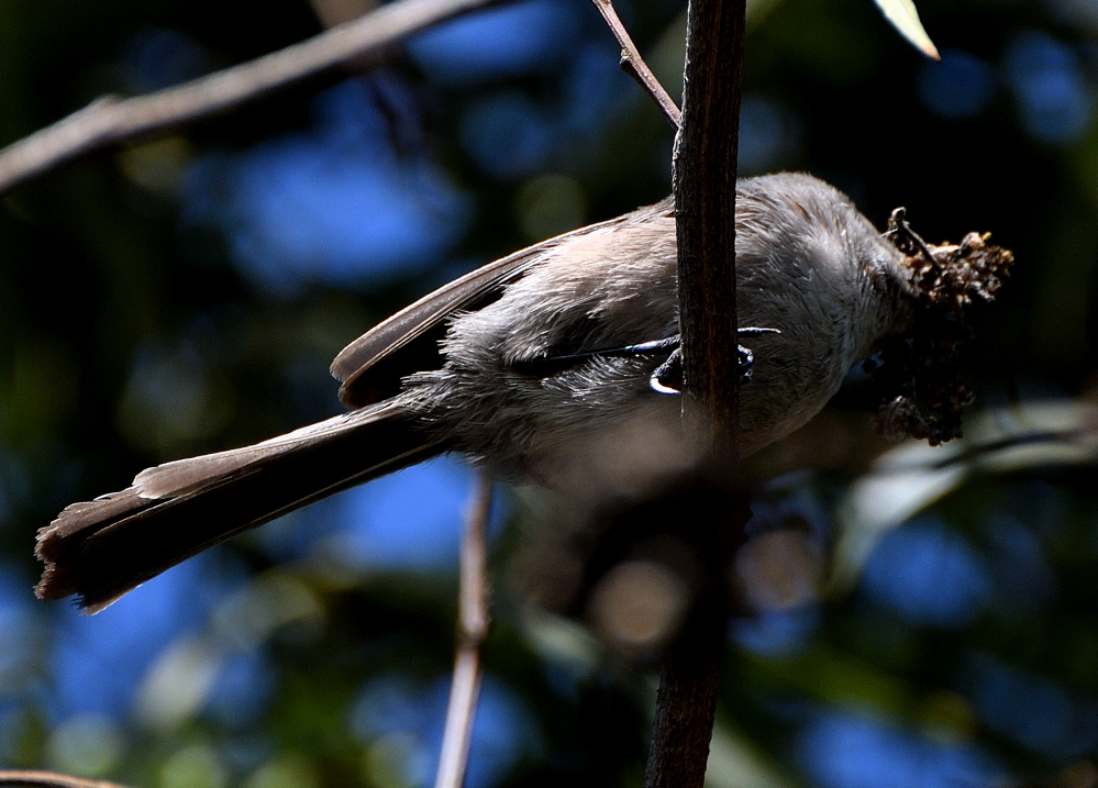 DSC_0124.JPG