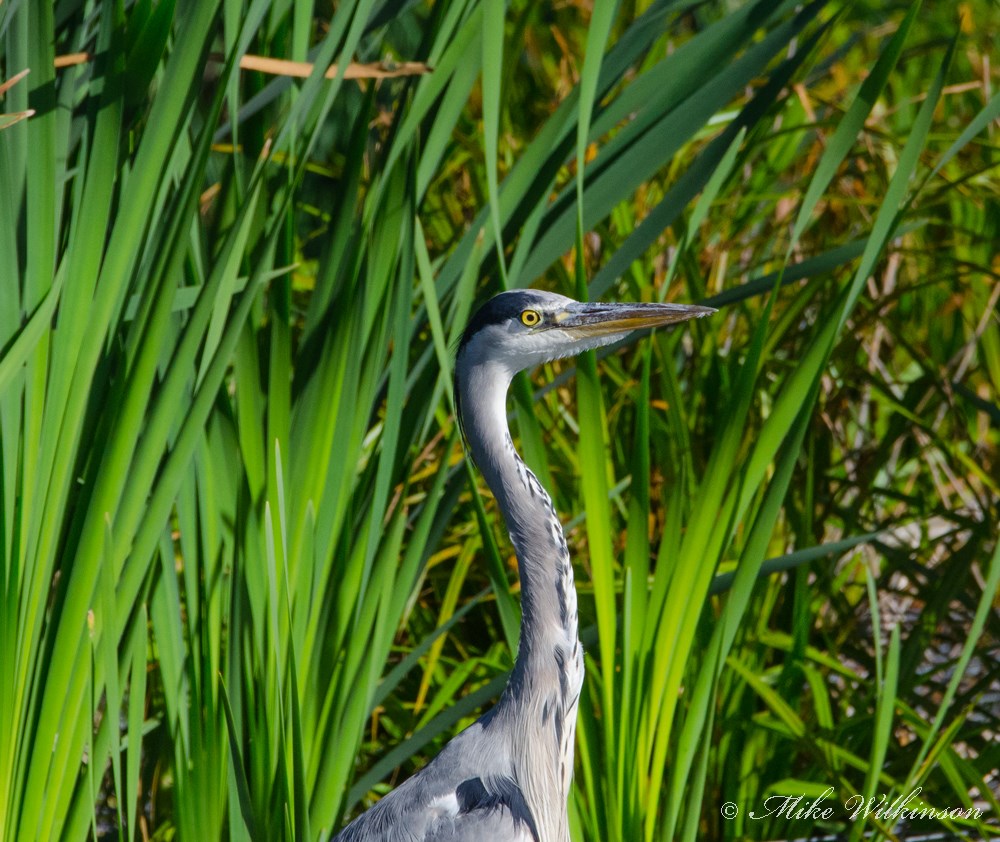 DSC_0124.JPG
