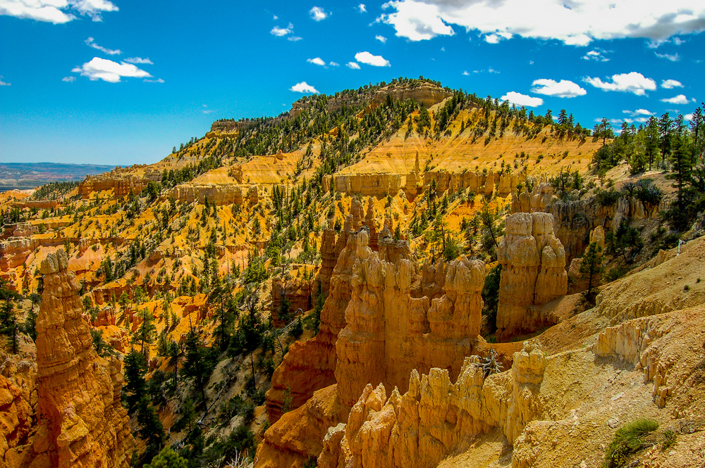 DSC_0125.jpg