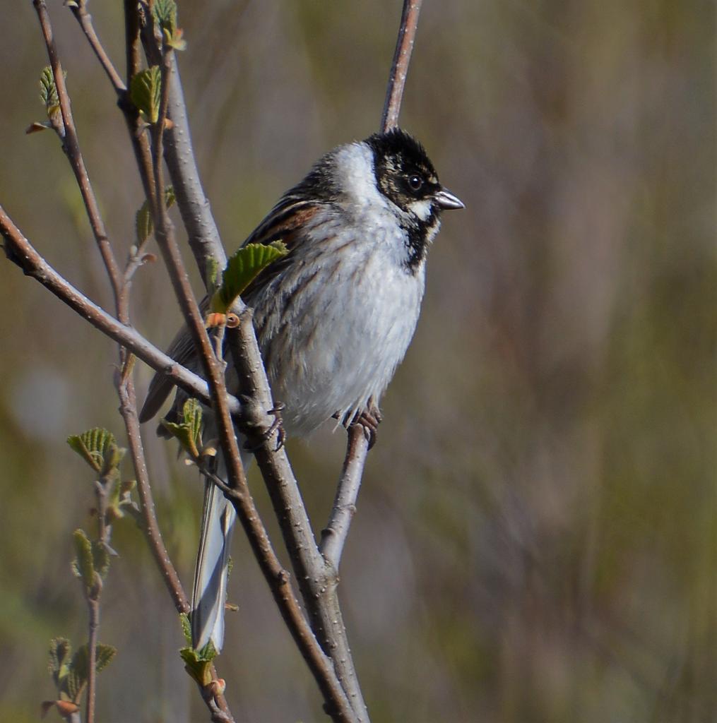 DSC_0125.jpg