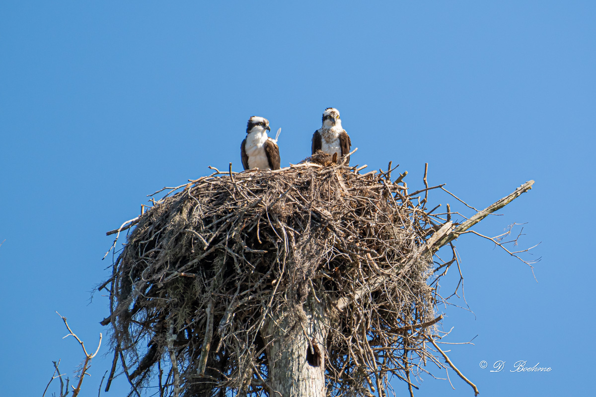 DSC_0125.jpg