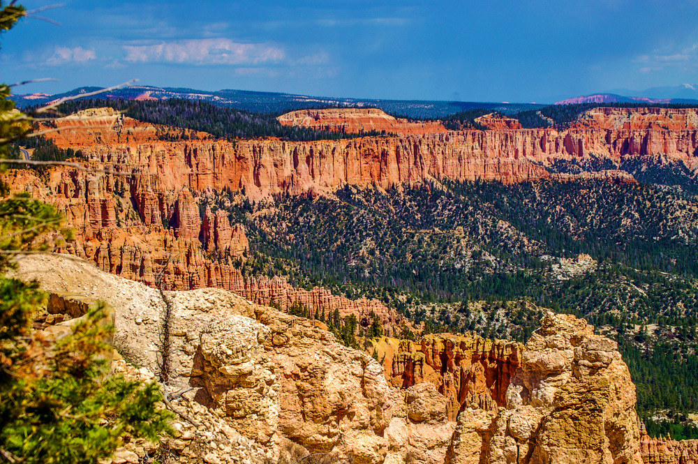 DSC_0126-2.jpg
