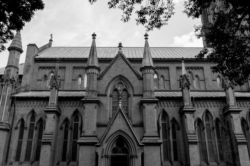 DSC_0126_DxO.jpg