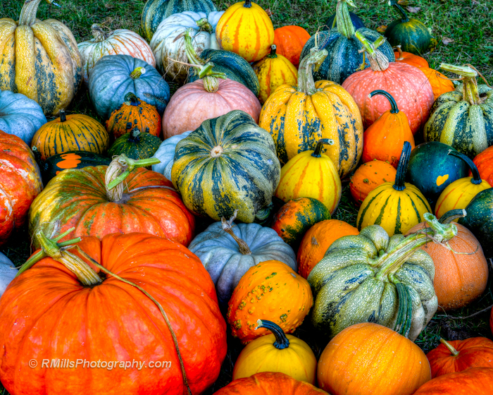 DSC_0127_3639_8_3640_9_3641_tonemapped.jpg