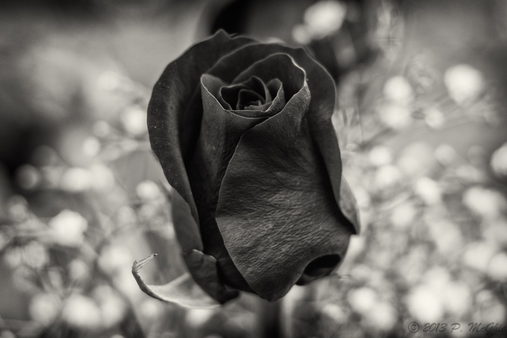 DSC_0128-Edit.jpg