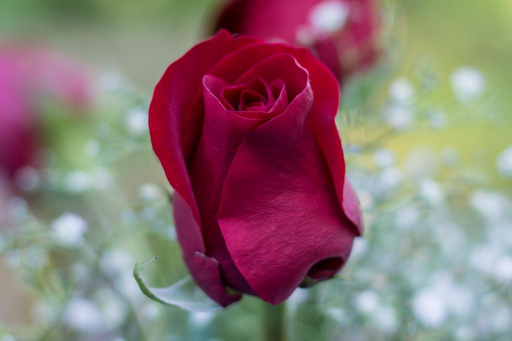 DSC_0128.jpg