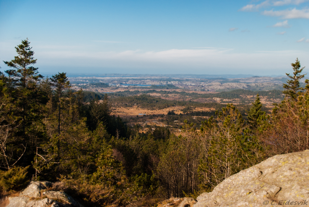 DSC_0128.jpg