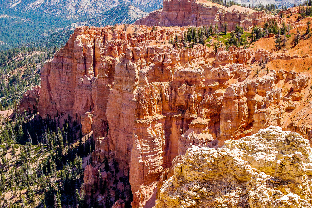 DSC_0129-2.jpg