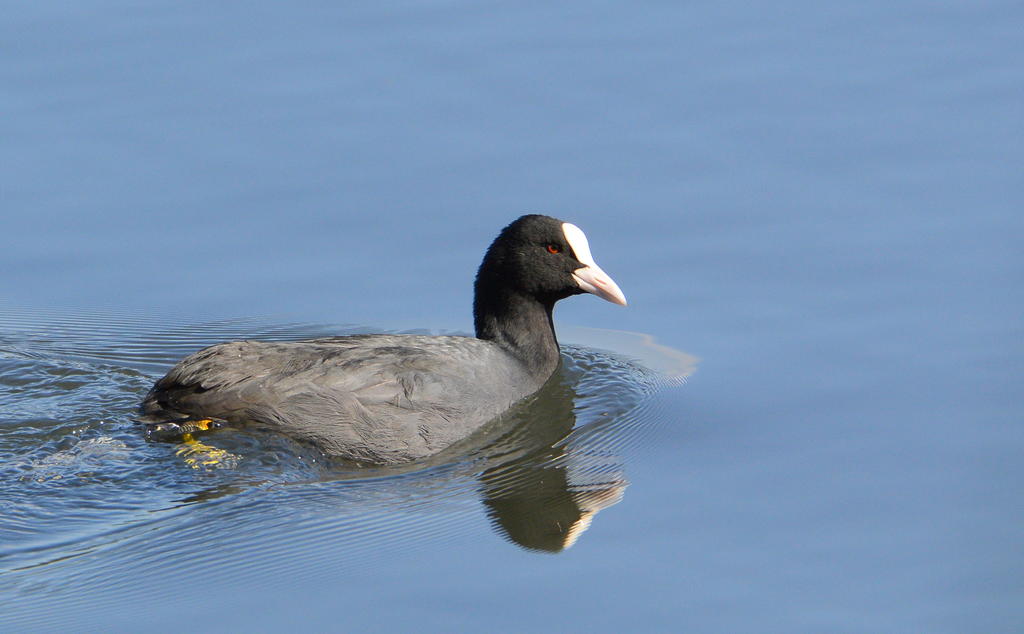 DSC_0131.jpg