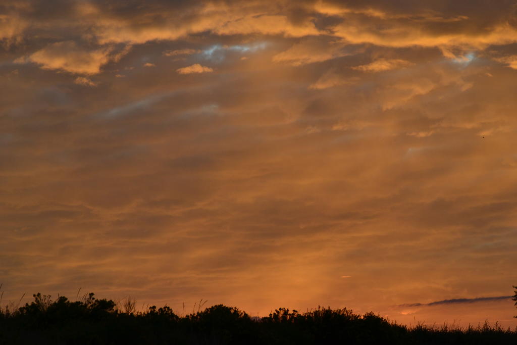DSC_0131.jpg