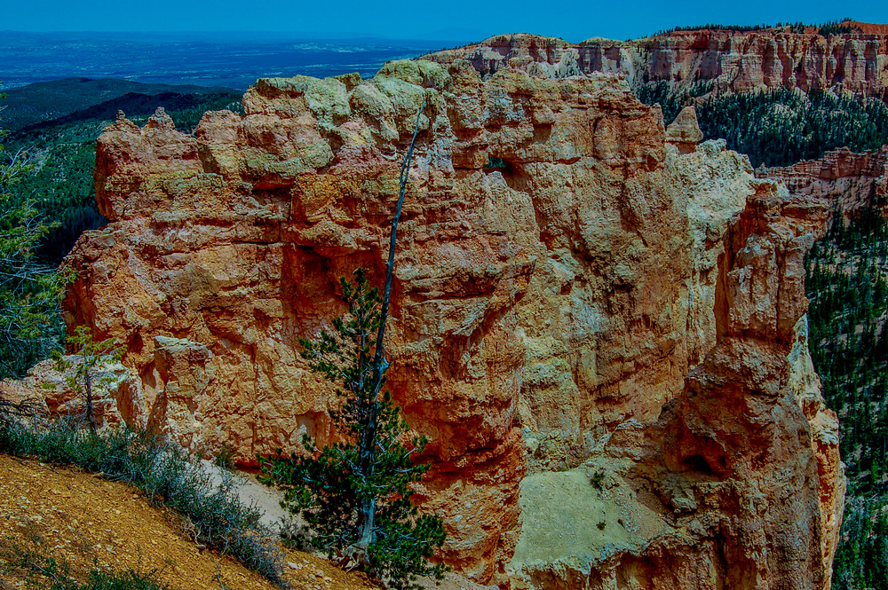 DSC_0132.jpg