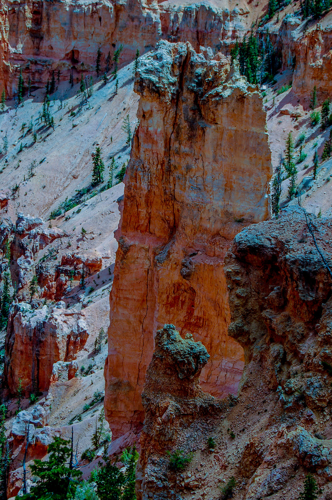 DSC_0133.jpg