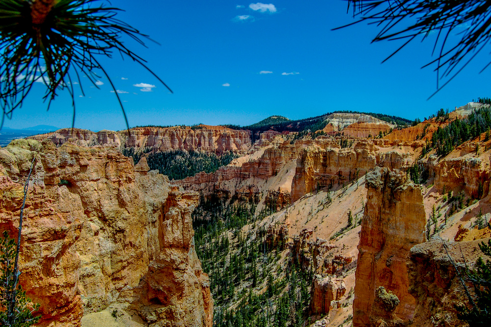 DSC_0134.jpg