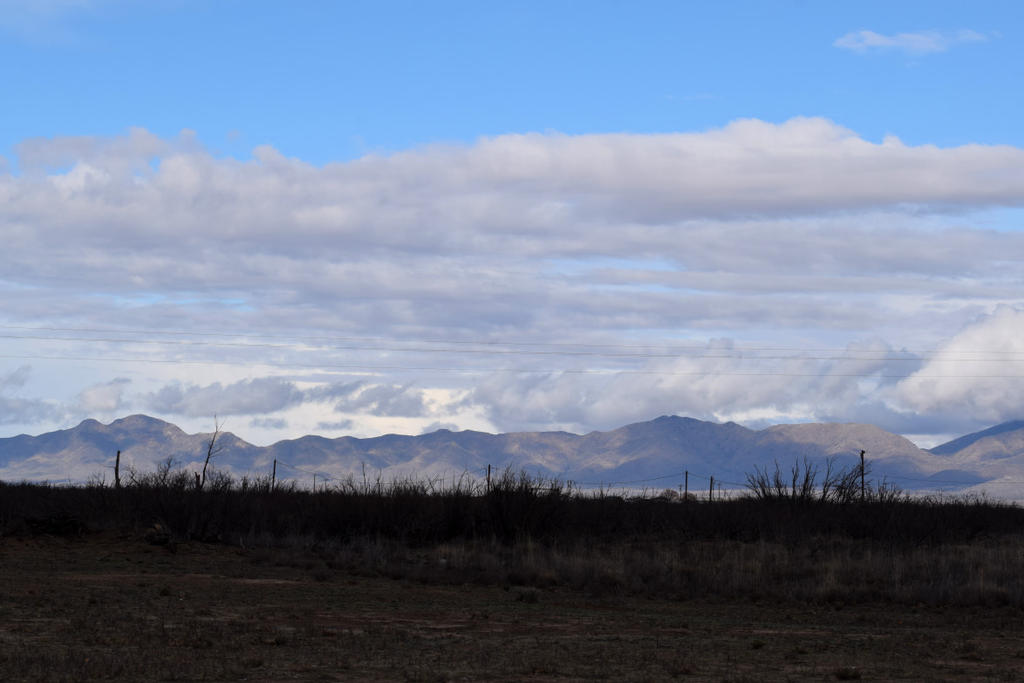 DSC_0136-20200211_160.jpg