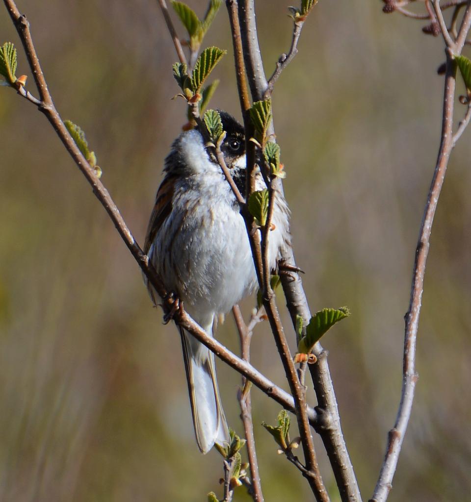 DSC_0136.jpg