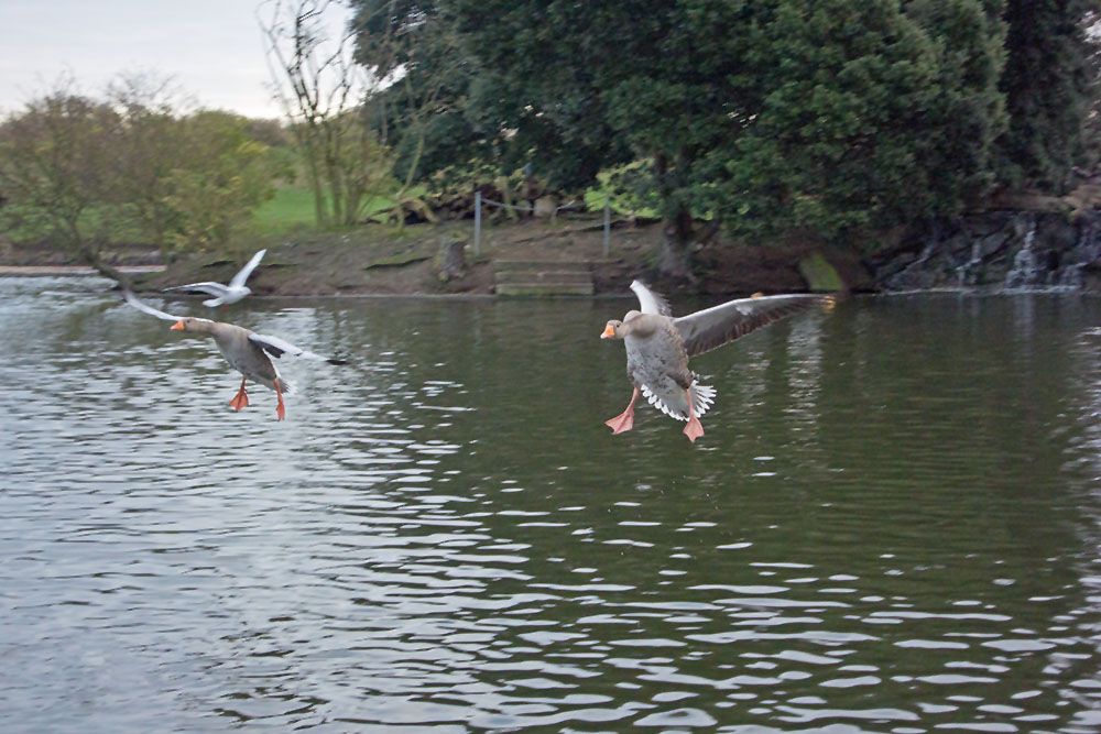 DSC_0138.jpg