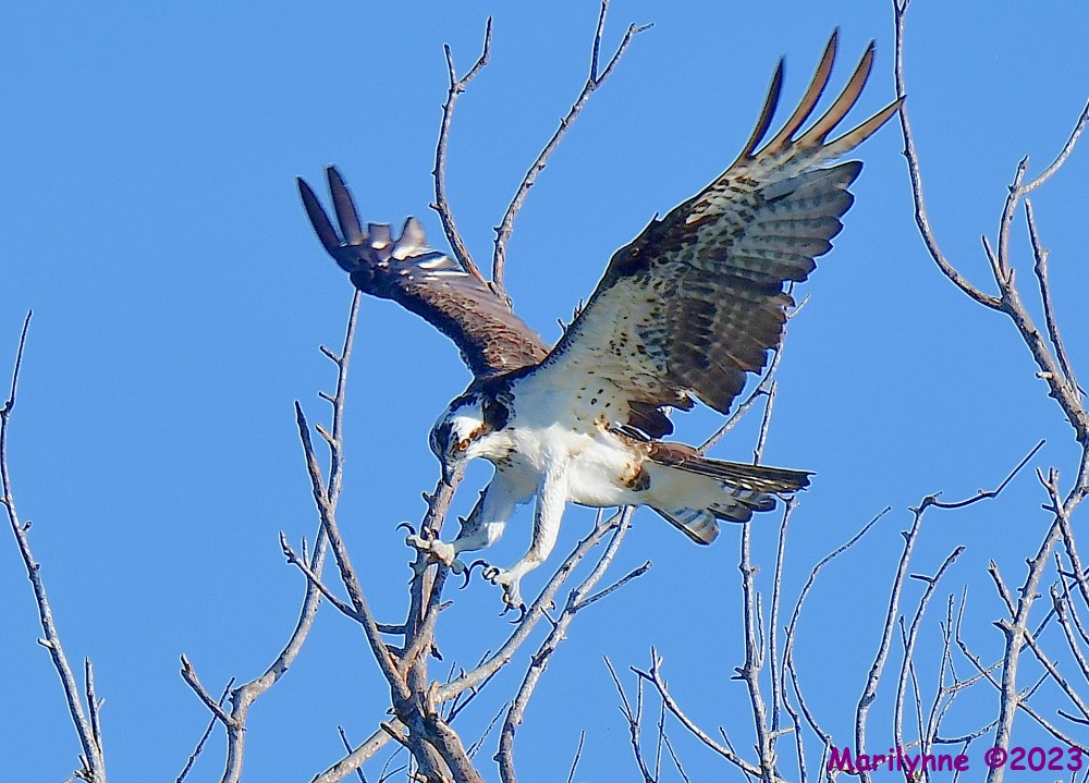 DSC_0138_001.JPG