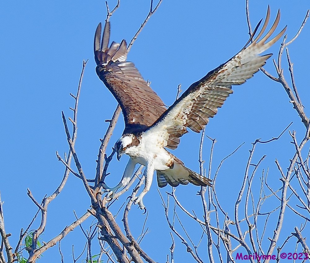 DSC_0140_001.JPG