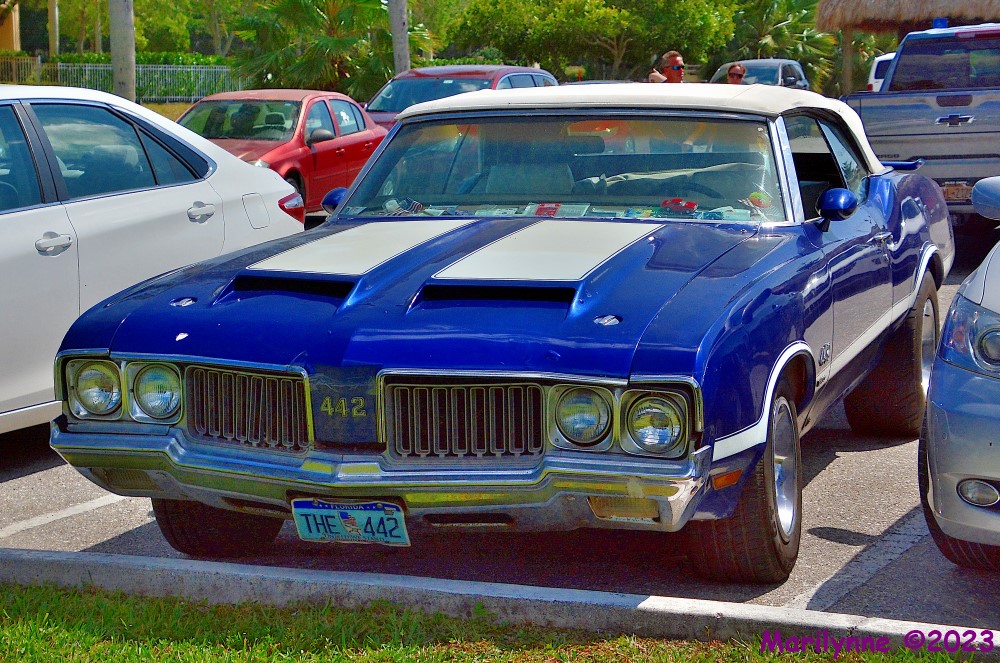 DSC_0141_001.JPG