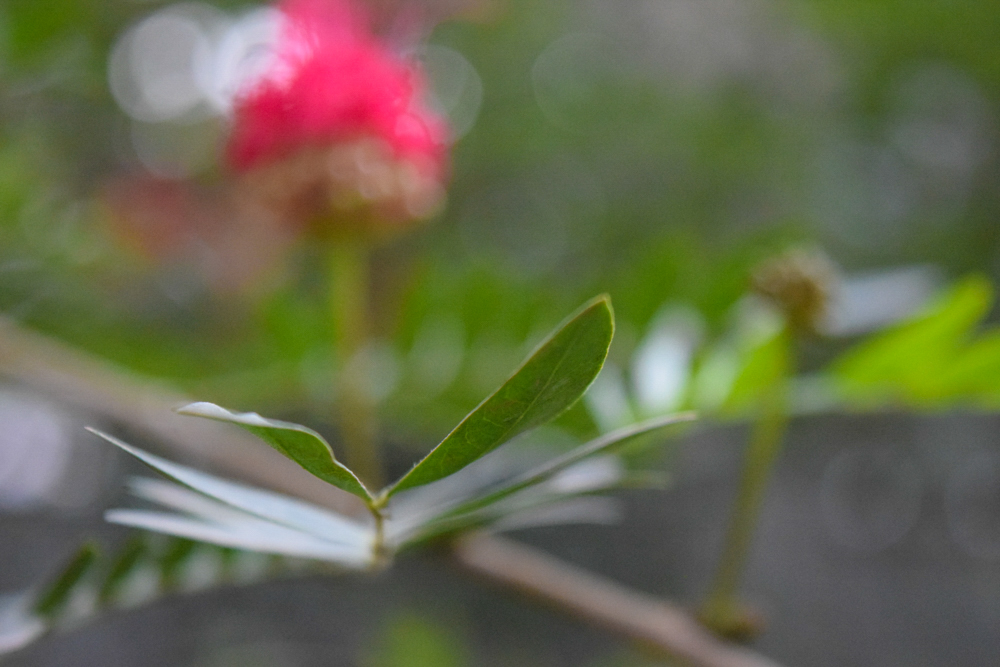 DSC_0143.jpg