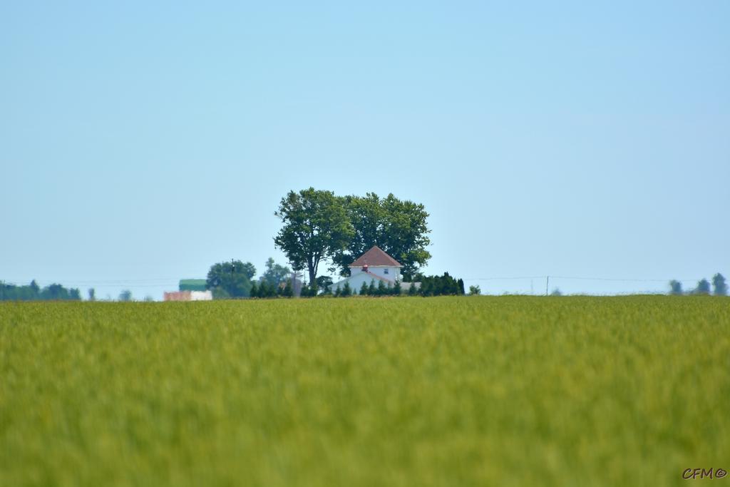 DSC_0146 nxd.jpg