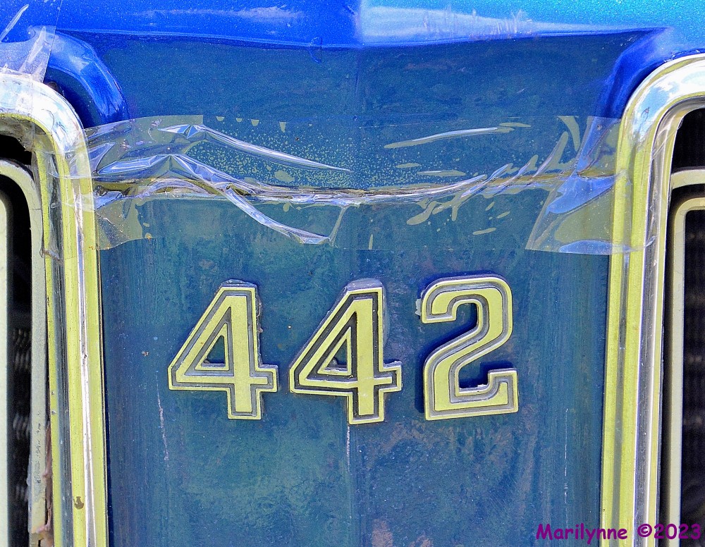 DSC_0146_001.JPG