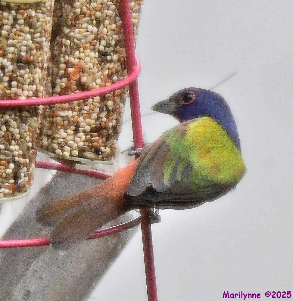 DSC_0146_001.JPG