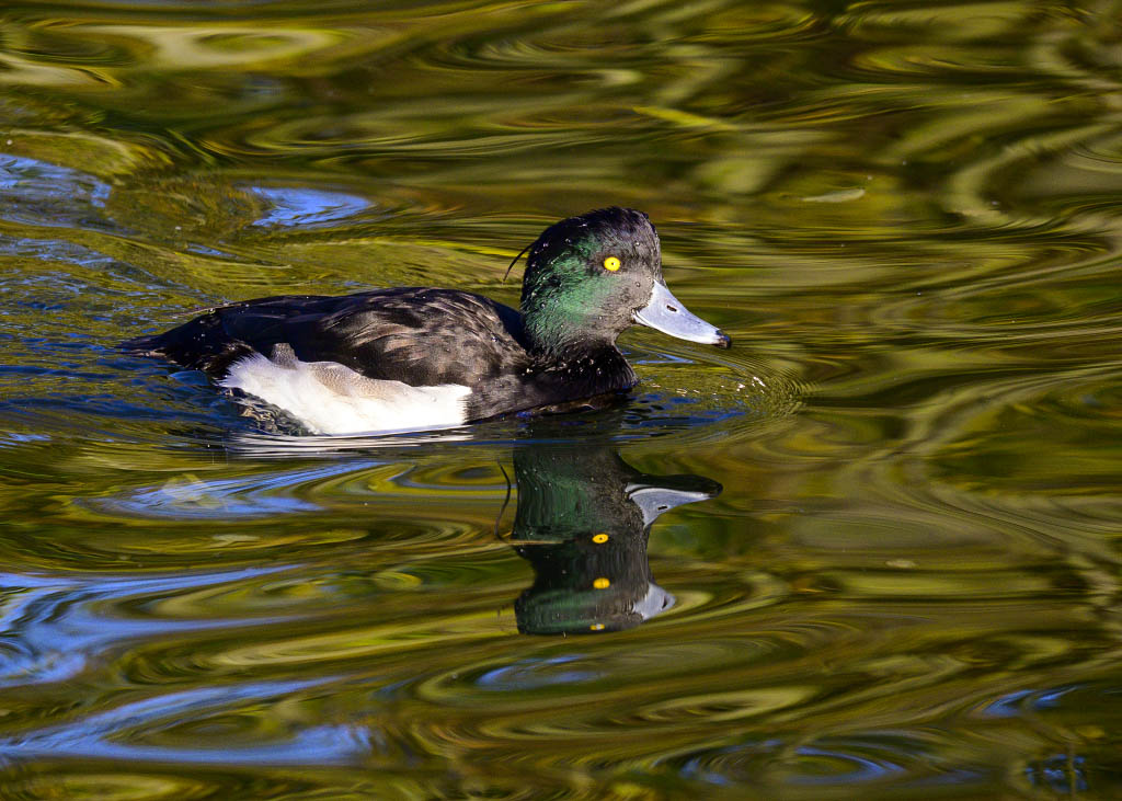 DSC_0147.jpg