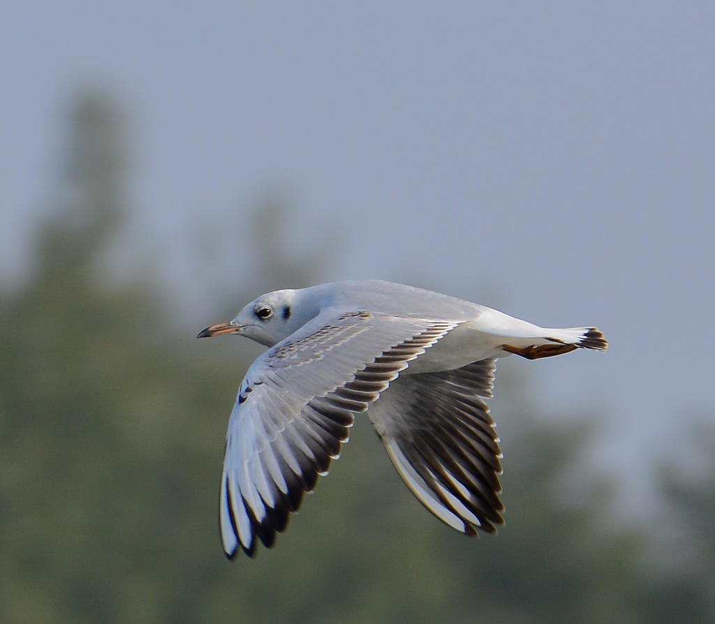 DSC_0149.jpg
