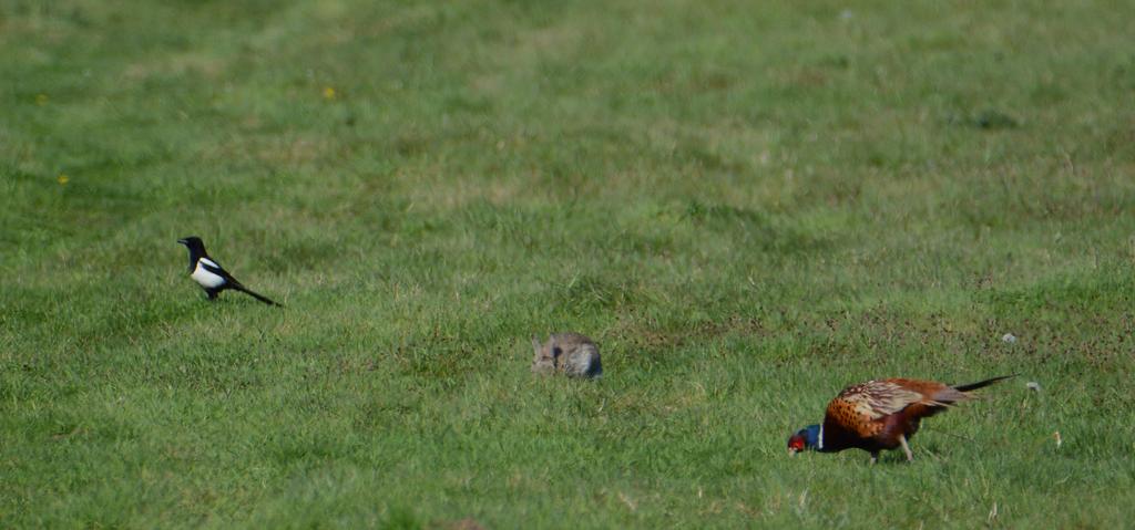 DSC_0150.jpg