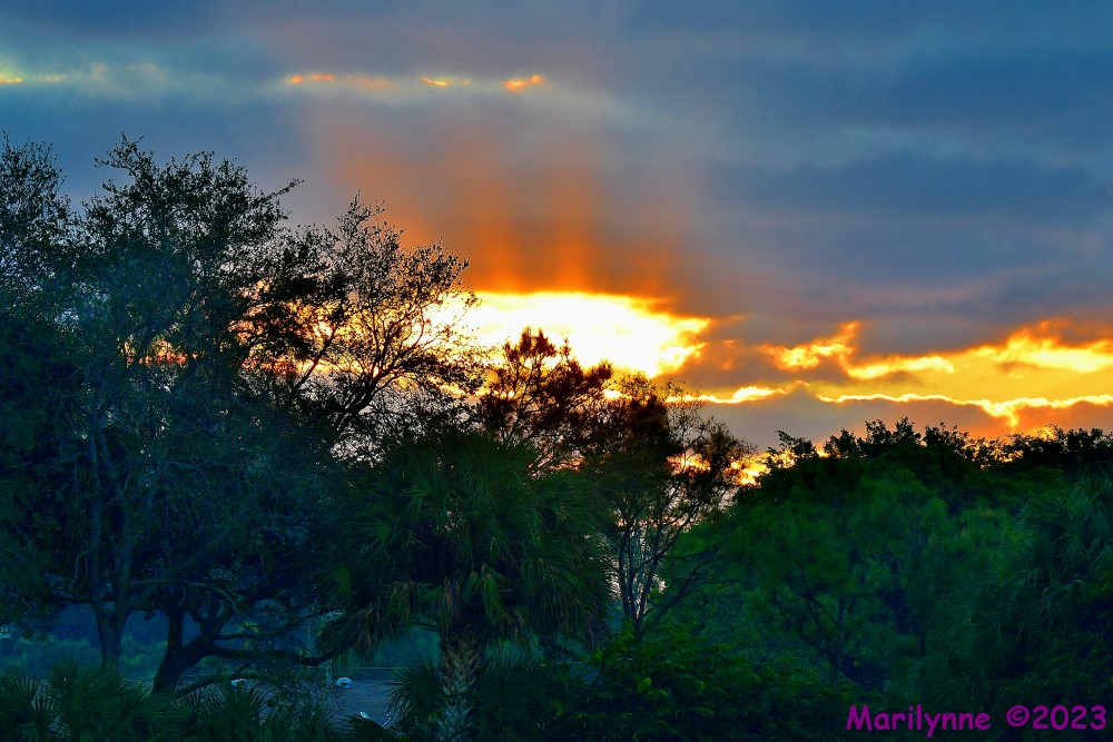 DSC_0150_001.JPG