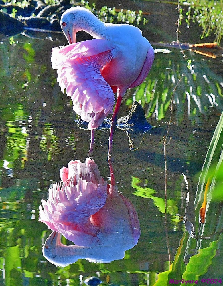 DSC_0150_001.JPG