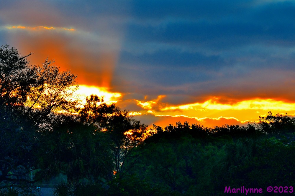 DSC_0151_001.JPG