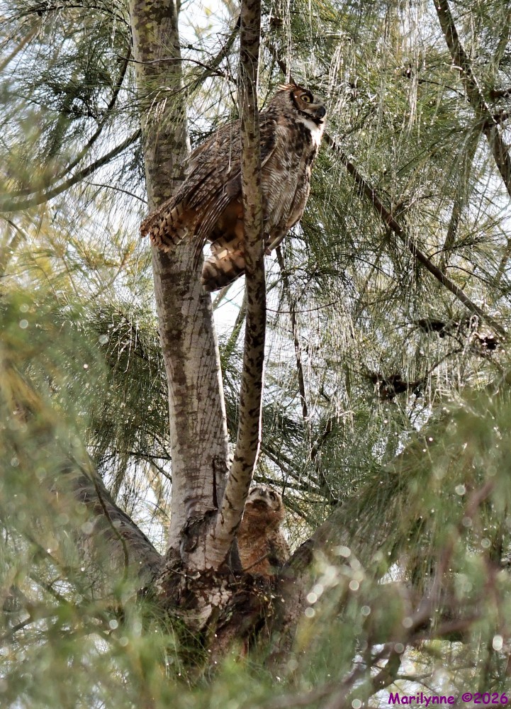 DSC_0151_001.JPG