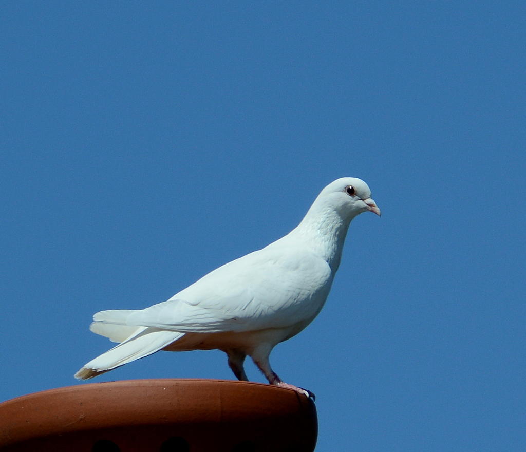 DSC_0152.jpg