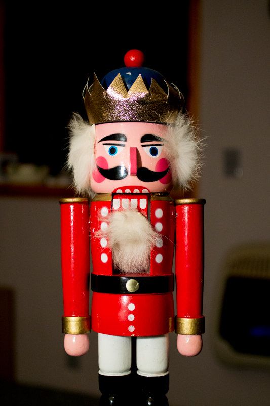 DSC_0153_9546-2.jpg