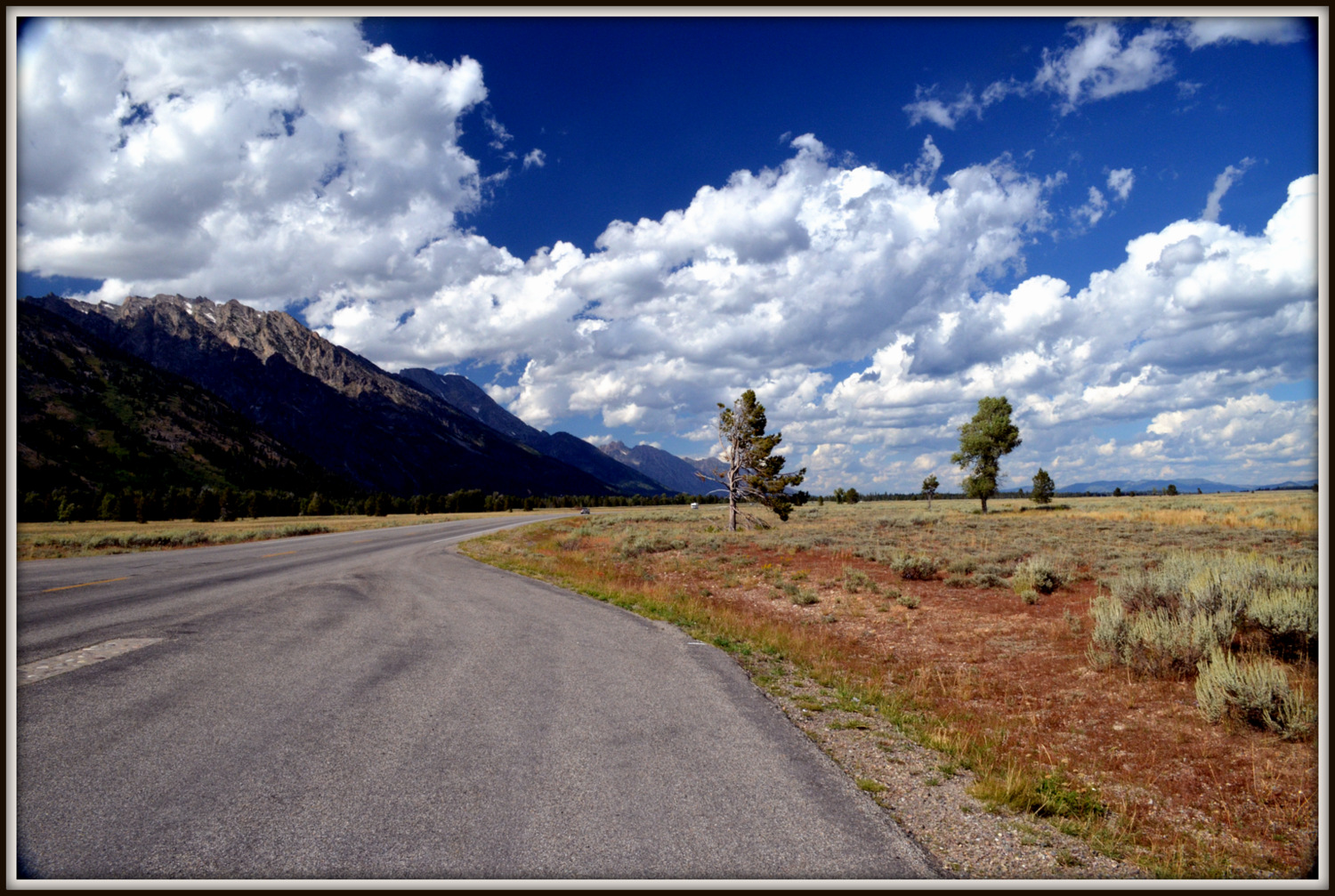 DSC_0156.JPG