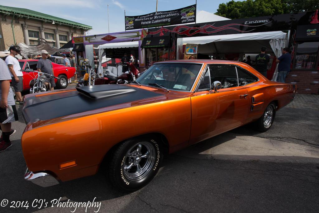 DSC_0157.jpg