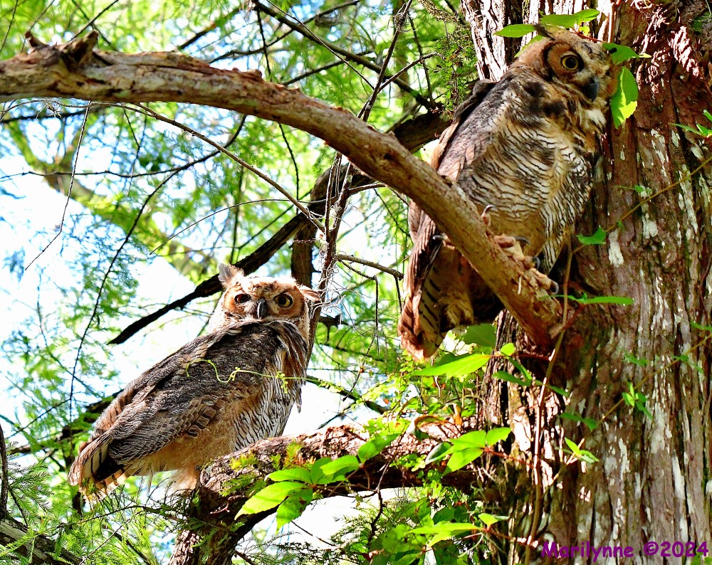 DSC_0157_001.JPG