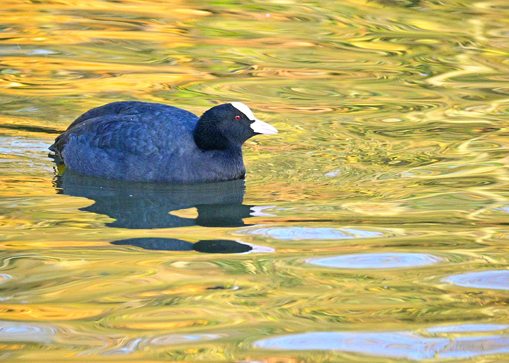 DSC_0158.jpg