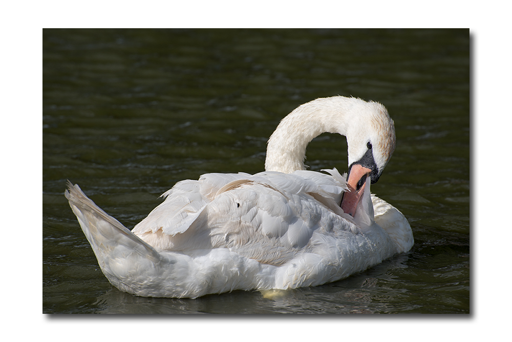 DSC_0162.jpg