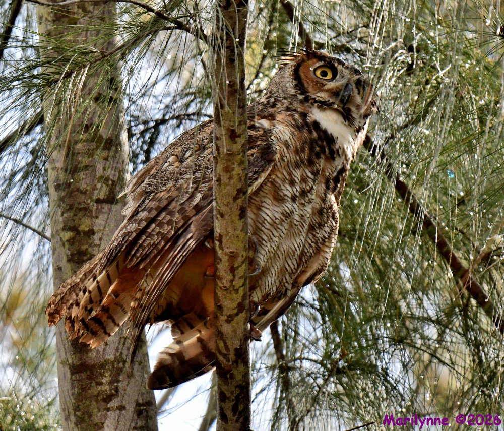 DSC_0163_001.JPG