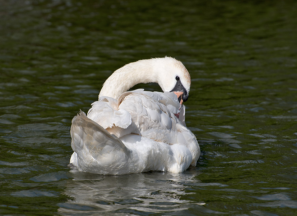 DSC_0164.jpg